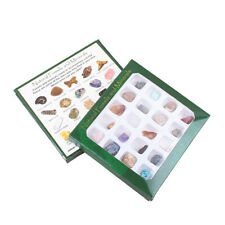 Advanced Fossil Collection