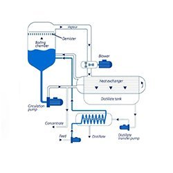 Batch Evaporation Crystallization