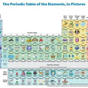 Bio-Periodic-Tables-Polyart manufacturer