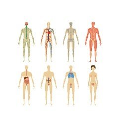 Effects Of Diabetes 5 Parts