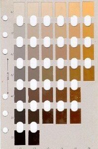 Soil Color Chart