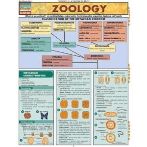 zoology charts manufacturer